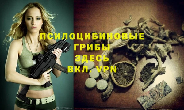 прущая мука Арсеньев