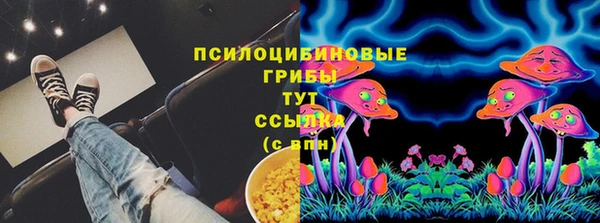 твердый Аркадак
