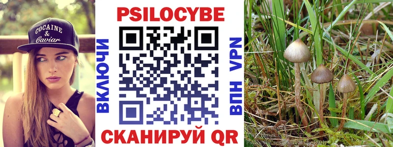 Галлюциногенные грибы Psilocybine cubensis  Мценск 